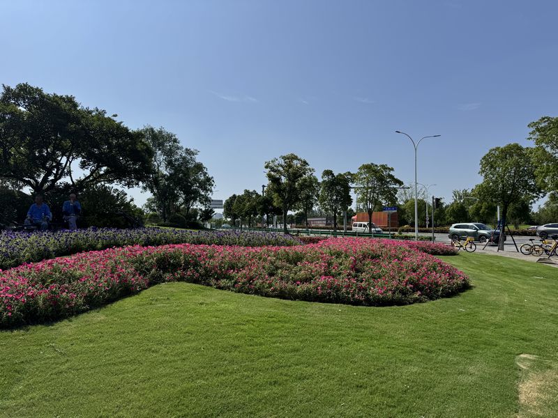 79170d26-bd98-4d20-9fd7-d4635ff9310b.jpg